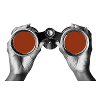 Obligation Management (Beta)